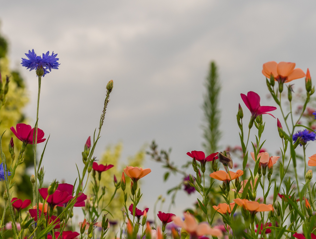 How to Make Our Catholic Parishes Vibrant Once Again