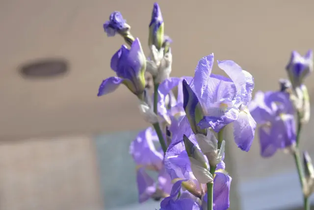 Easter Egg Hunt at the Center: A Change in Our Seasonal Traditions